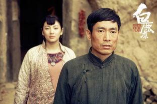 连续剧白鹿原在线观看,穿越百年风云，探寻家族兴衰之谜  第3张